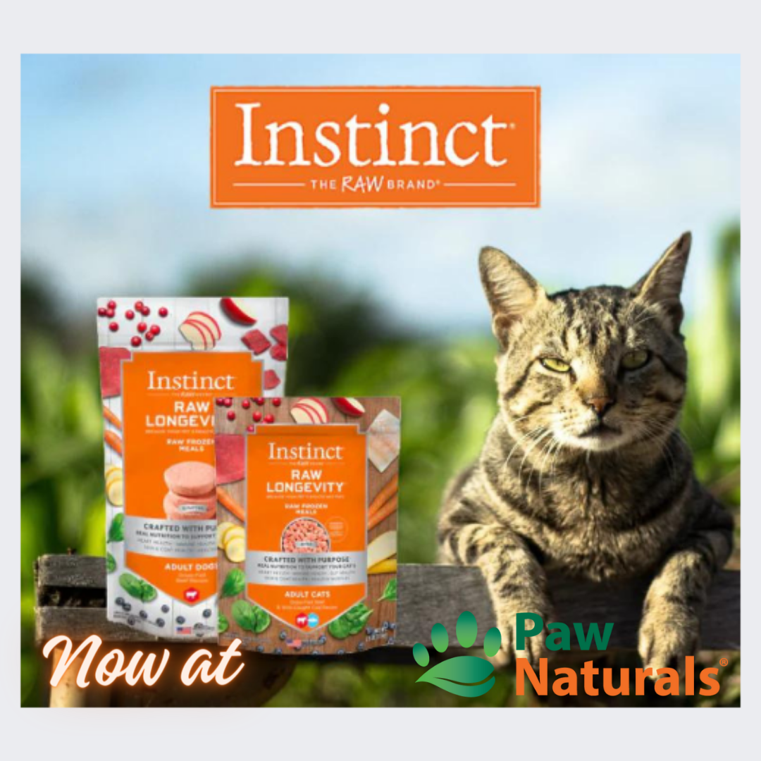Instinct raw for sales cats