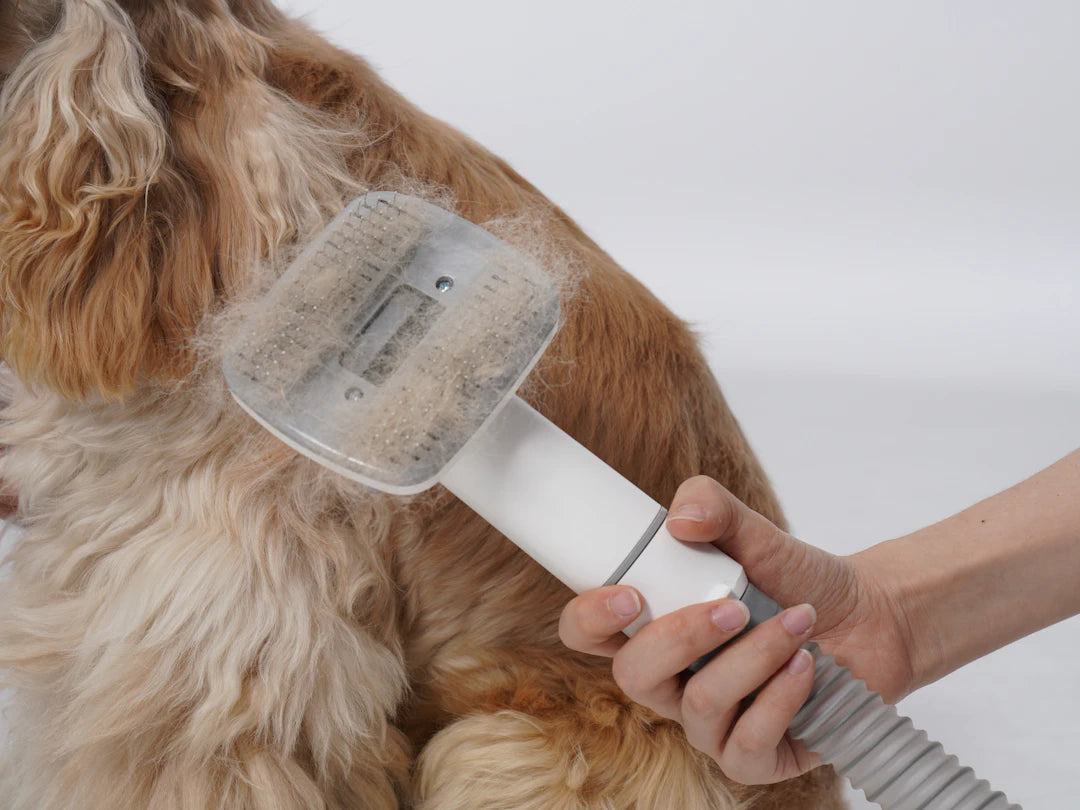 Natural Grooming Sprays for Healthy Dog Coats
