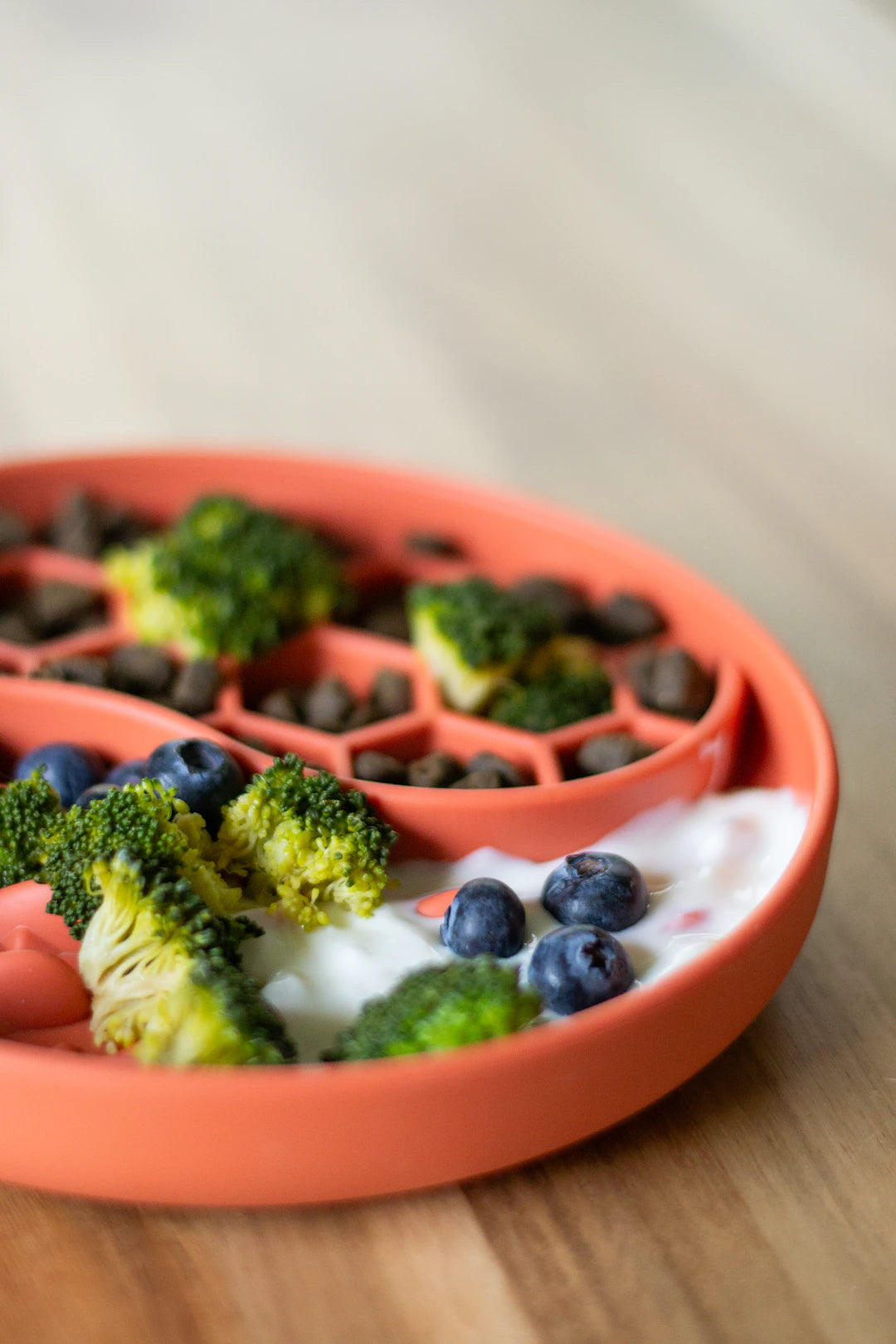 Gourmet Summer Dog Meals for Healthy Tasty Adventures