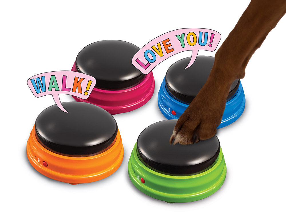Animated Toys