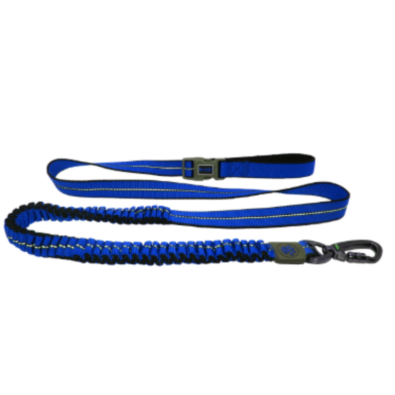 Collars / Leashes