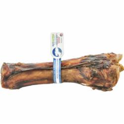 Bones