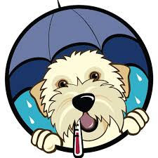 Under The Weather