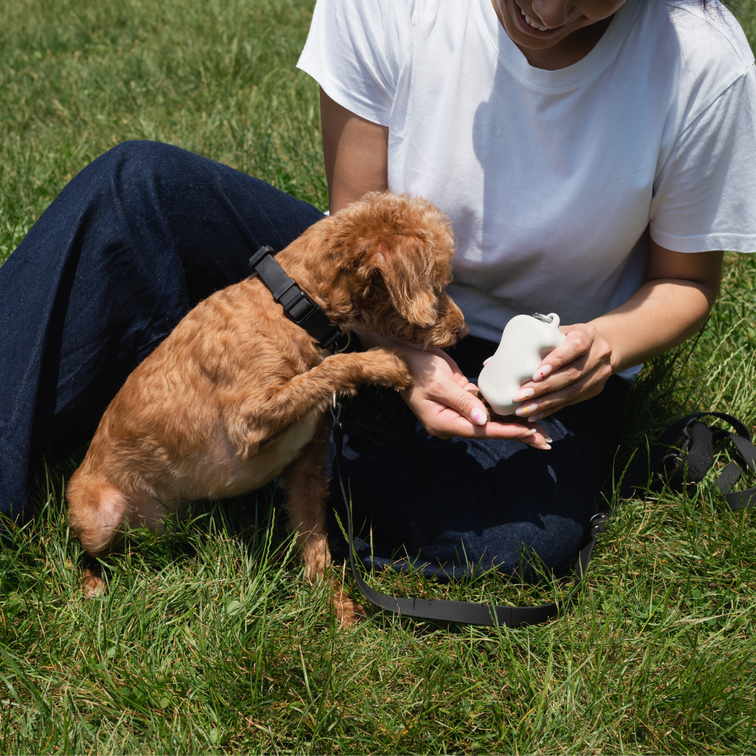 Springer Pets Squeeze Silicone Dog Treat Pouch Dispenser