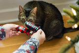 Pearhead Christmas Naughty & Nice 2pk Cat Toys