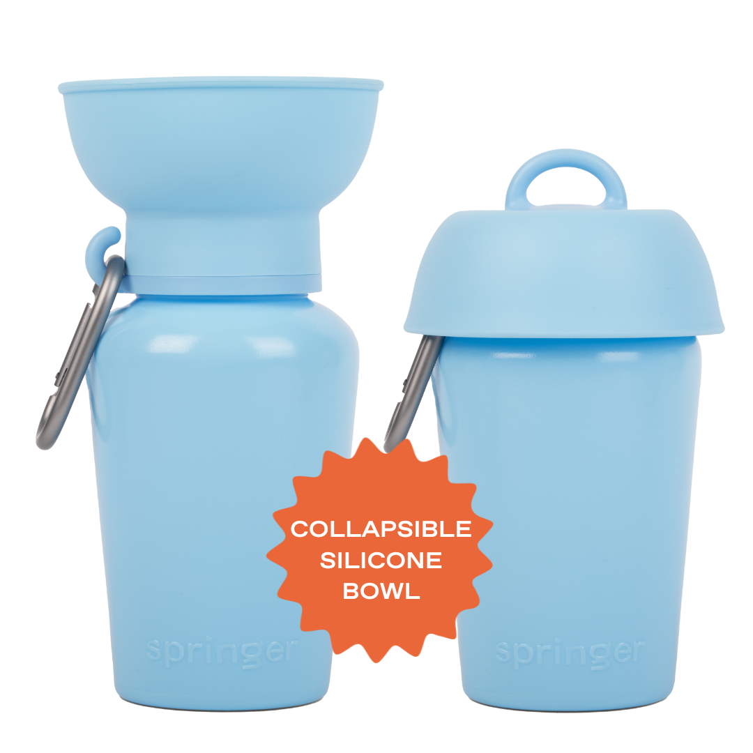 Springer Pets Dog Travel Water Bottle Flip Silicone 20oz