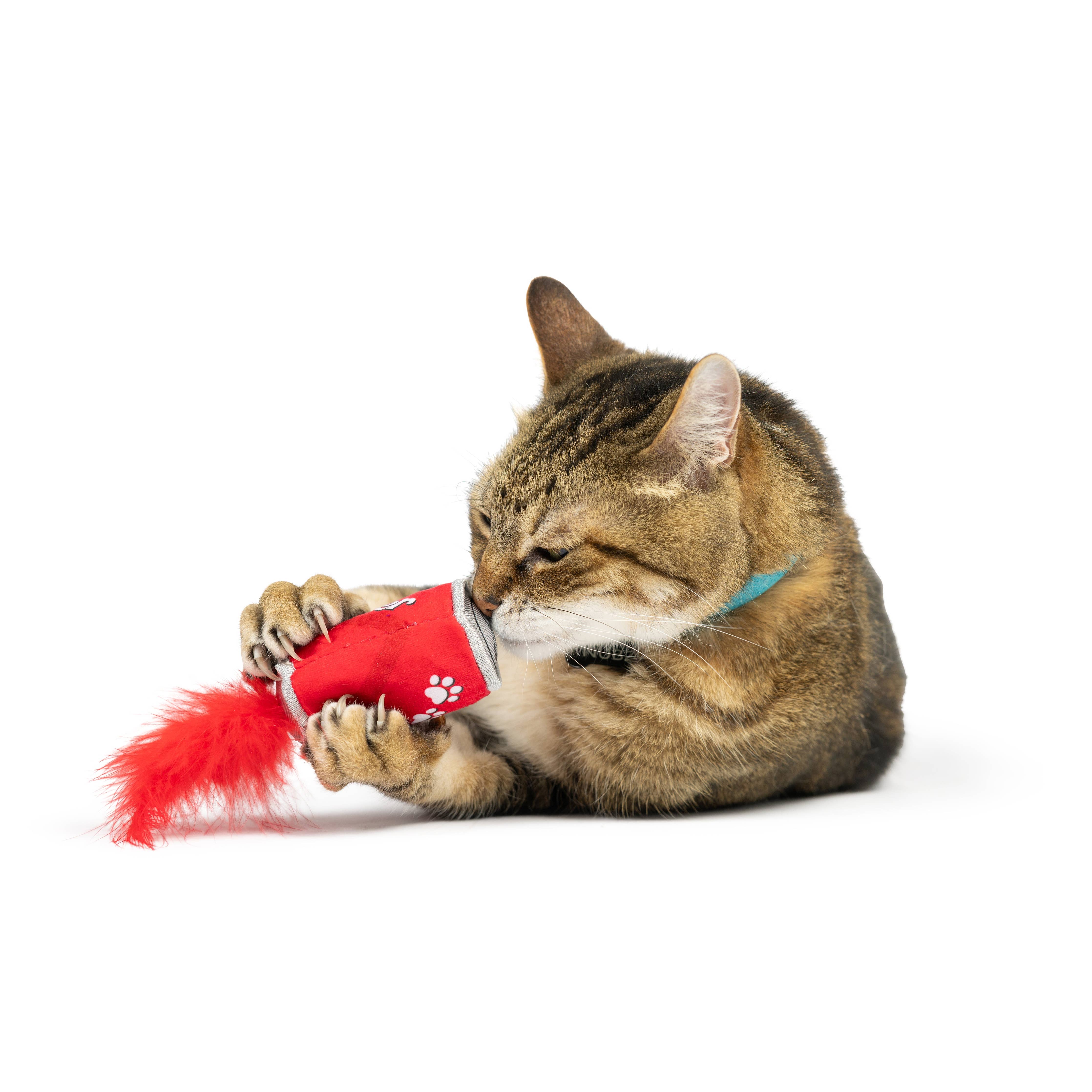 Huxley & Kent Lil' Pooper Cat Toy