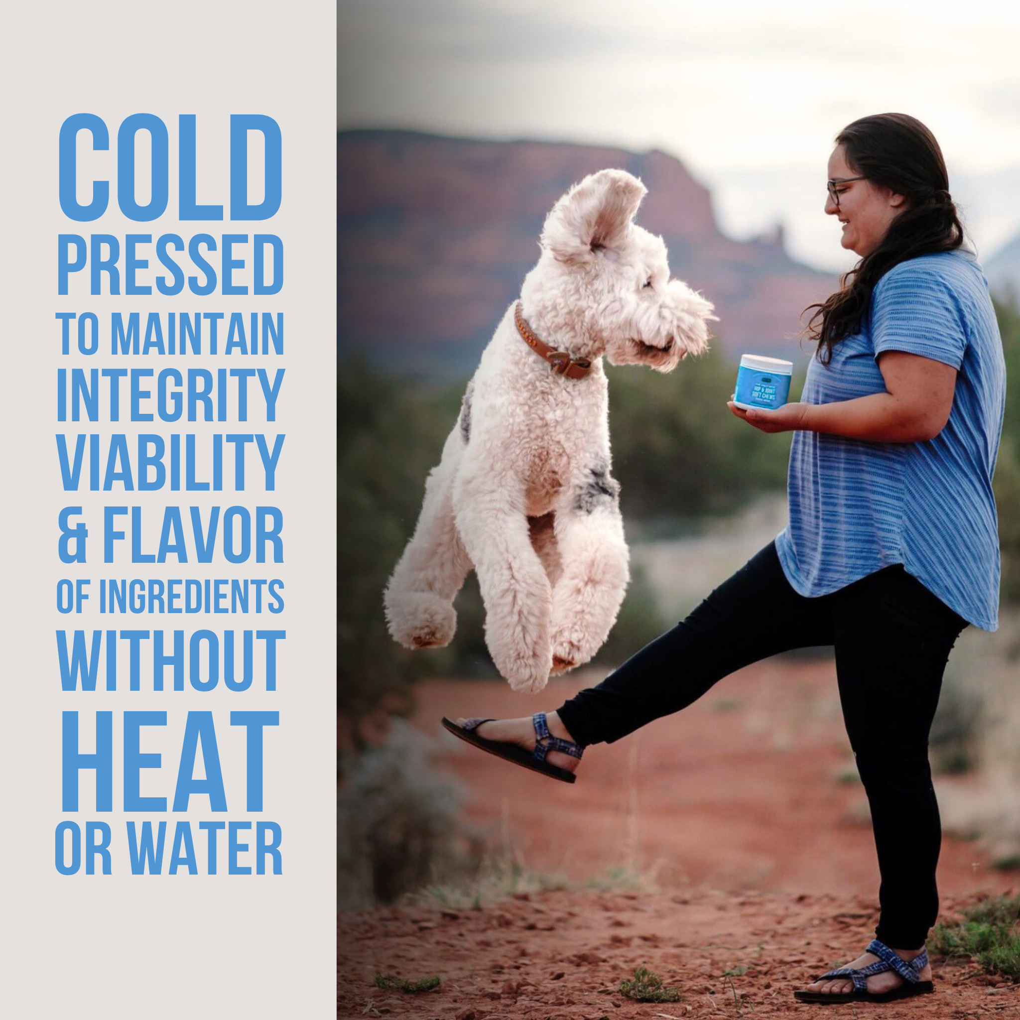 Natural Rapport The Only Hip & Joint Soft Chews Dogs Need