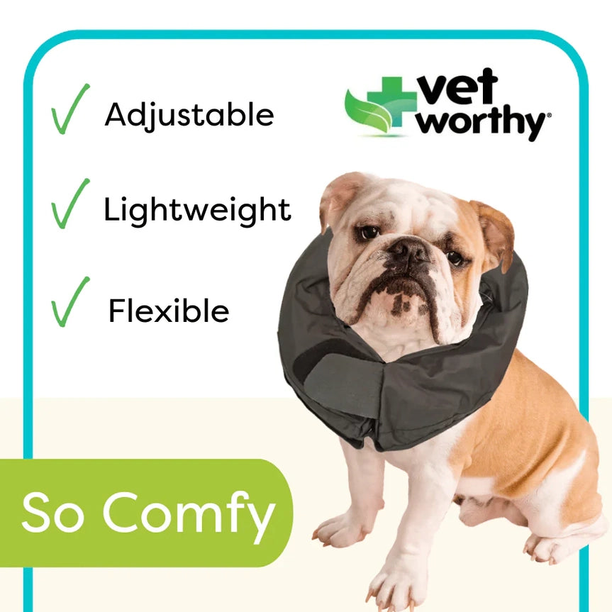 Vet Worthy Pet Protective Soft Recovery Collar Boxed