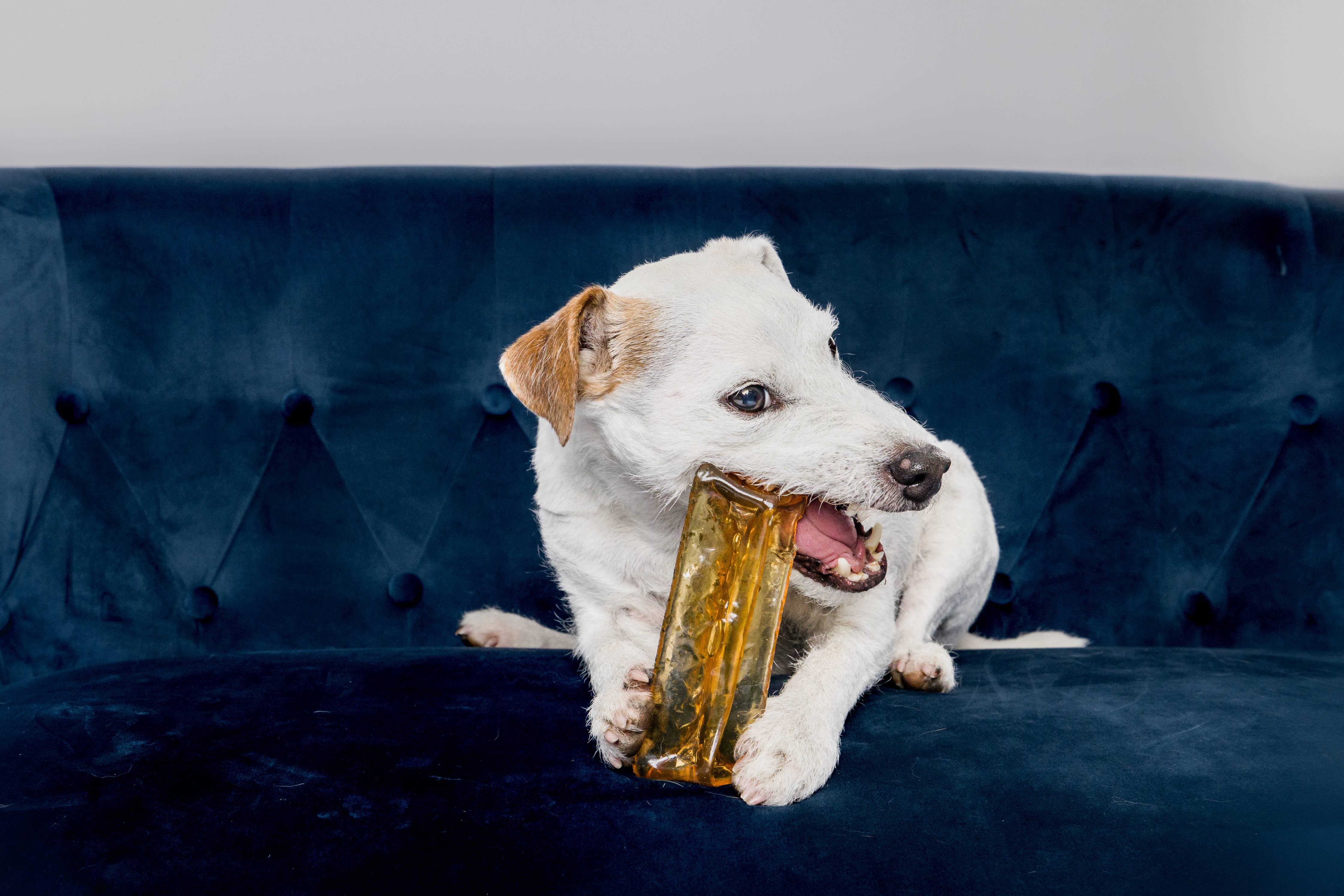 Wag & Bright Supply Co. Mighty Marrows Collagen Beef Liver Dental Chew