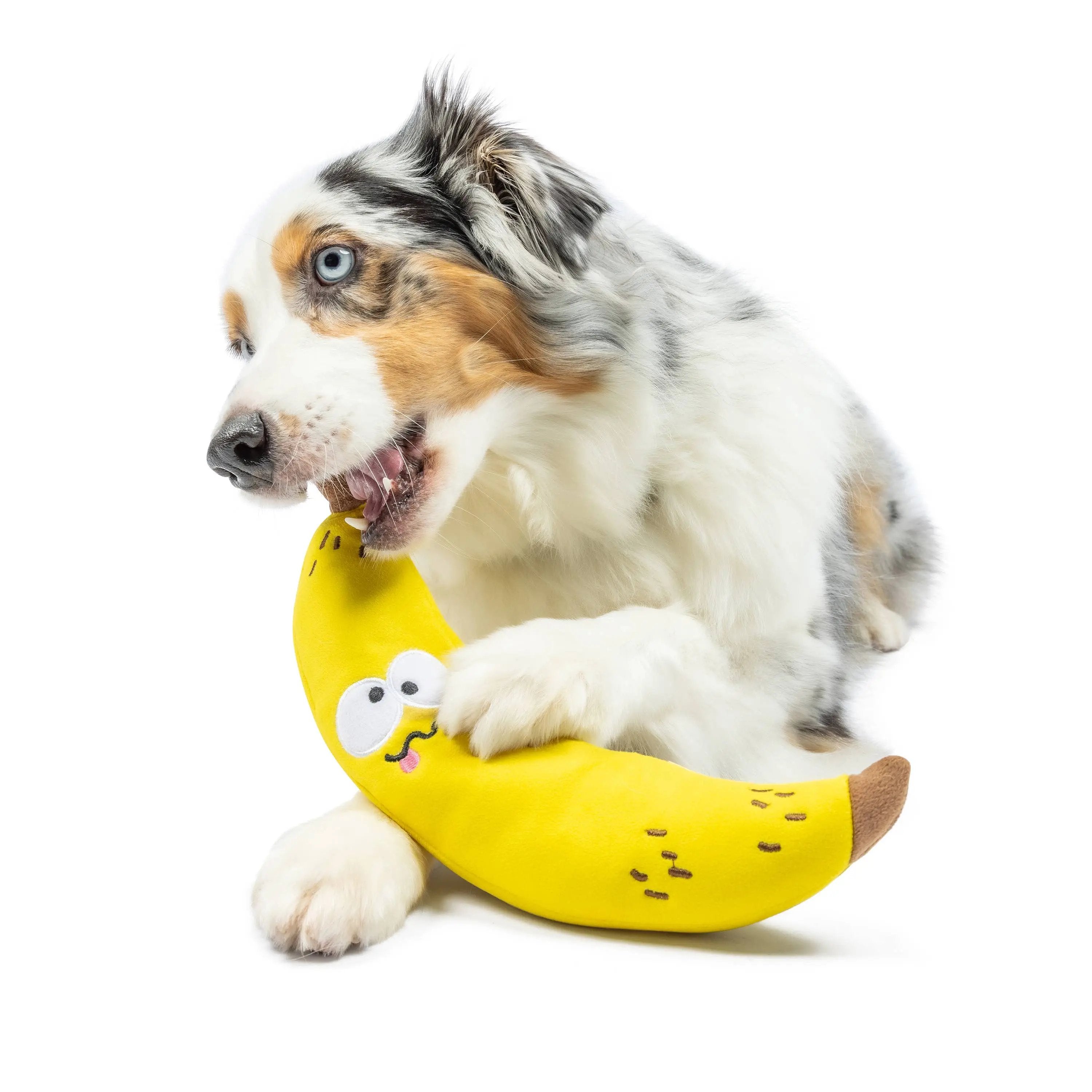 Huxley & Kent Bruiser Banana Plush Dog Toy