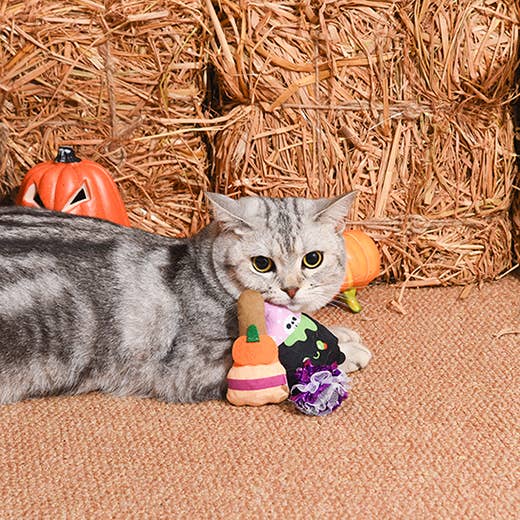 HugSmart Pet Spooky Cats Witch's Brew Cat Toy