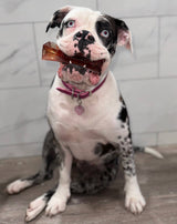 Wag & Bright Supply Co. Mighty Marrows Collagen Beef Liver Dental Chew