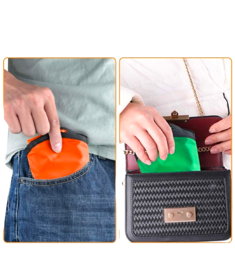 Sparky & Co Foldable Nylon Frisbee Flyer 8" with Travel Pouch