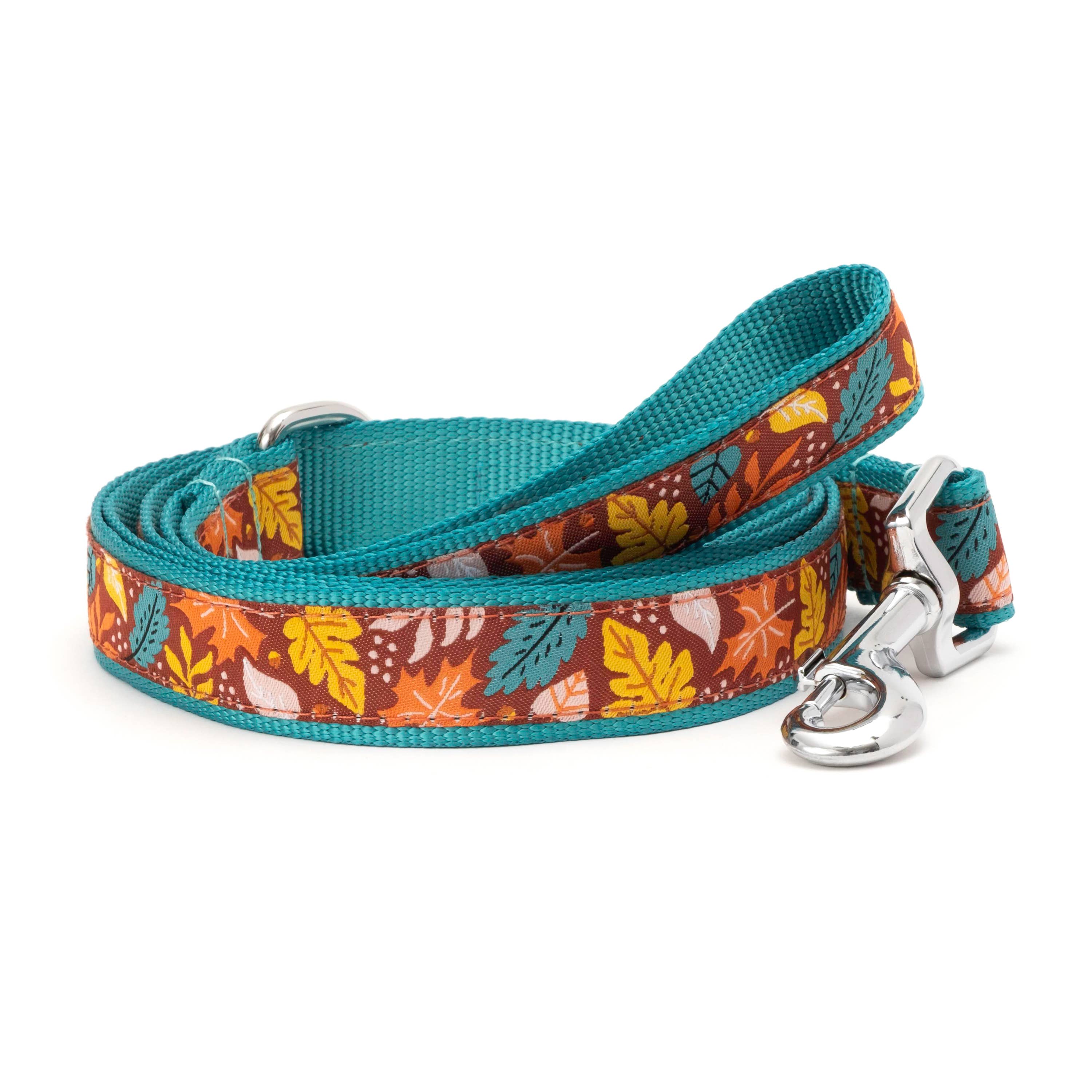 The Worthy Dog Falling Leaves Lead