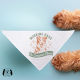 Sparky & Co Vintage Breed Graphic Pet Bandana