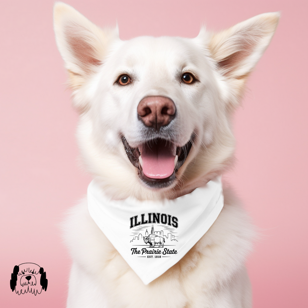 Sparky & Co Regional Graphic Pet Bandana