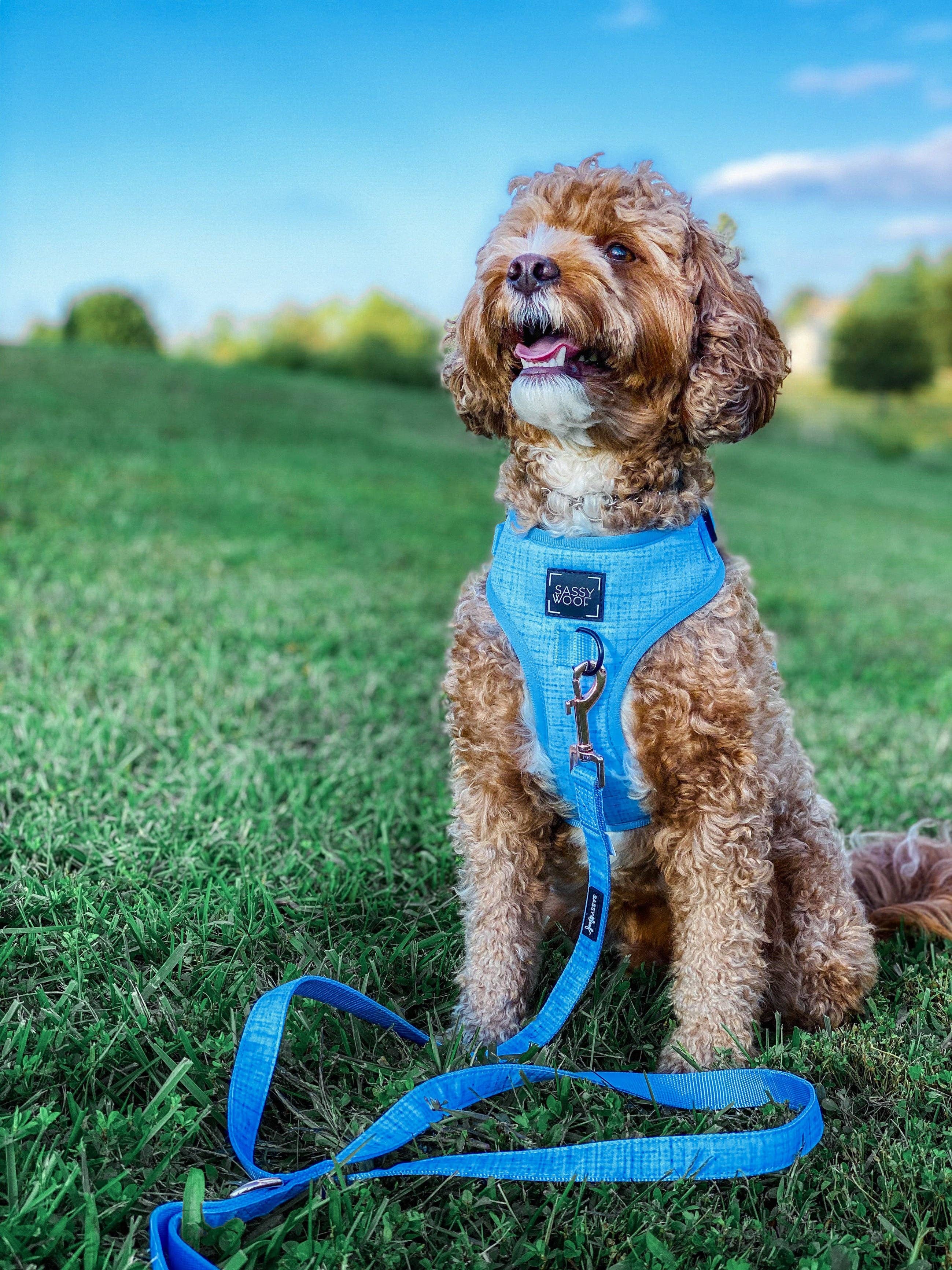 SASSY WOOF Blumond Dog Adjustable Harness