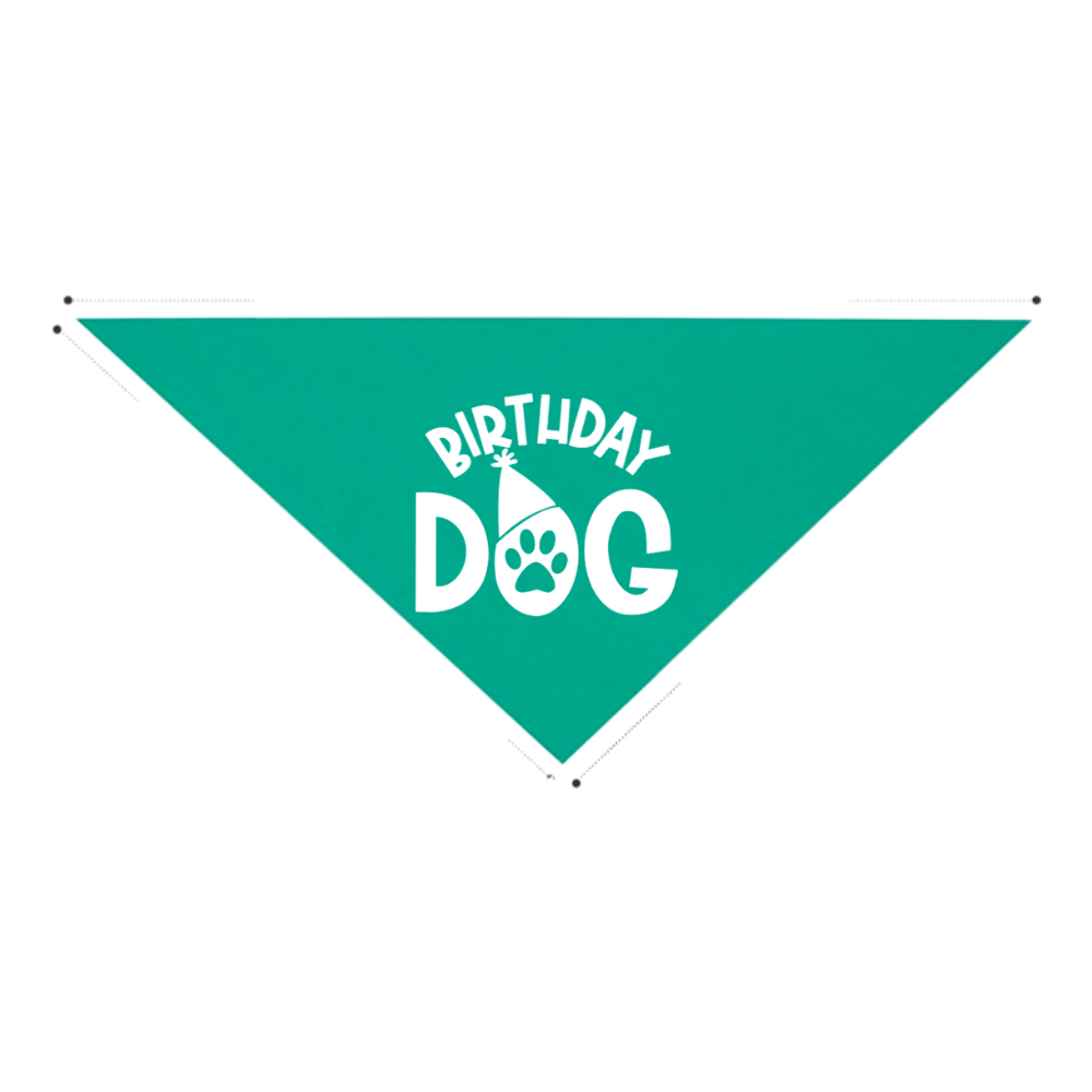 Sparky & Co Glitter Birthday Dog Pet Bandana 31"