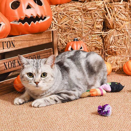 HugSmart Pet Spooky Cats Witch's Brew Cat Toy