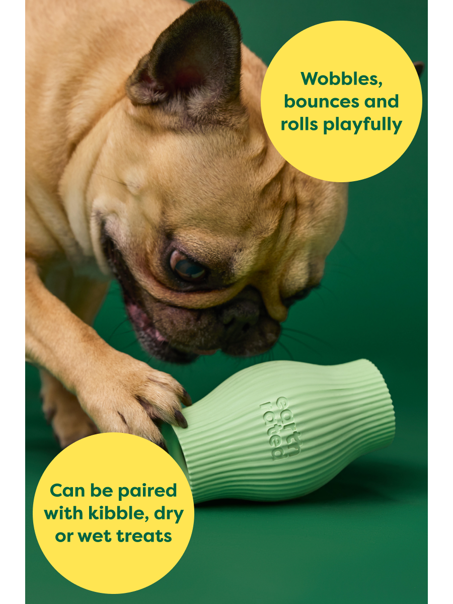 Earth Rated Natural Rubber Treat Toy