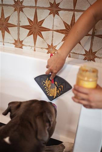 Messy Mutts Silicone Triangle Licking Mat with Suction