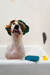 Messy Mutts Silicone Dual Sided Grooming Brush with Hand Strap