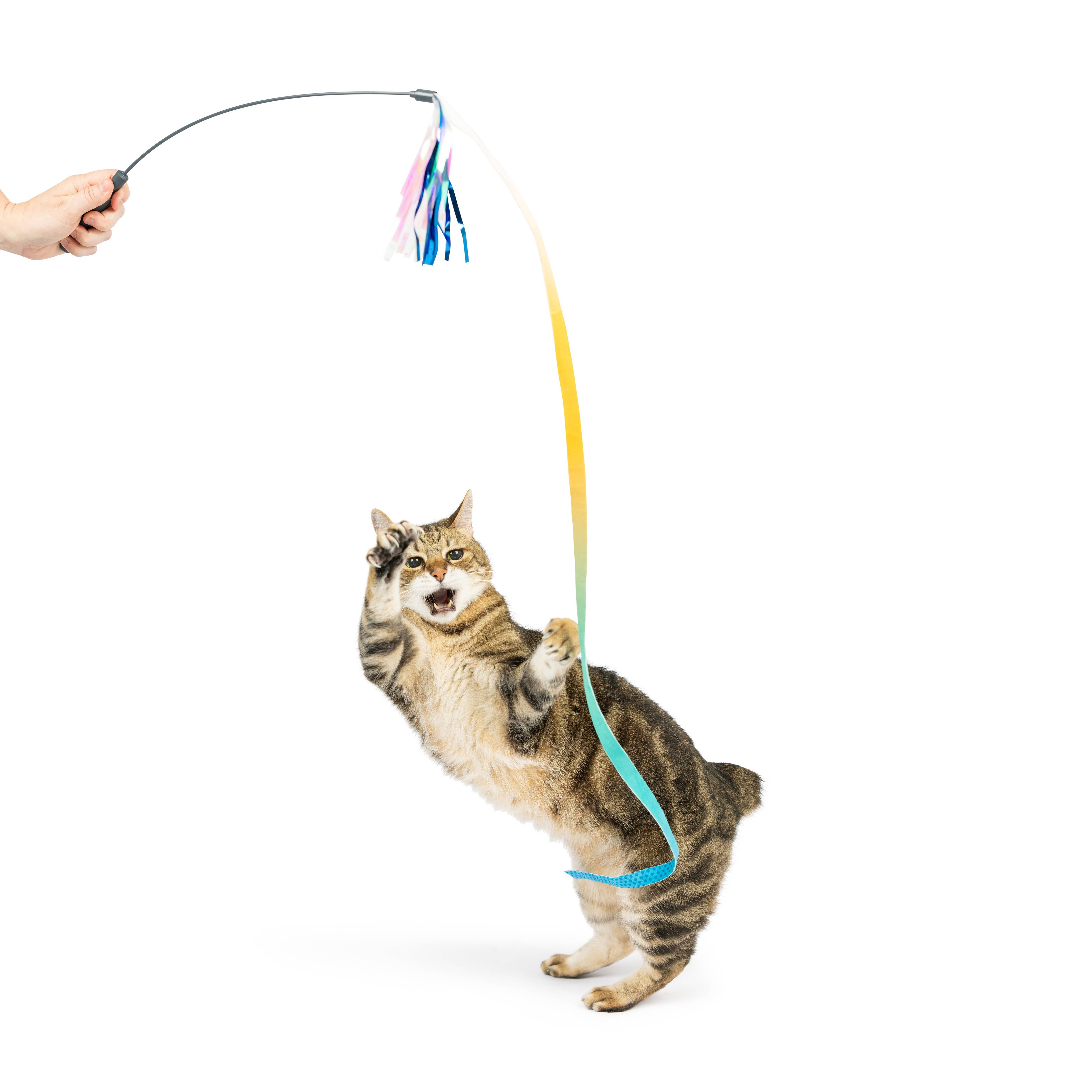 Huxley & Kent Dance & Lure Wand Cat Toy