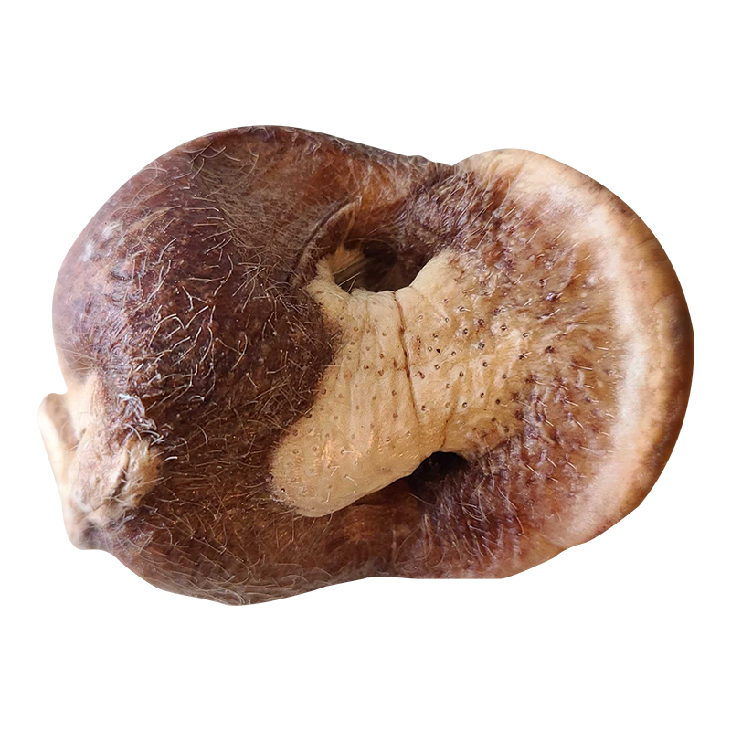 Bones & Co Freeze-Dried Raw Individual Treats