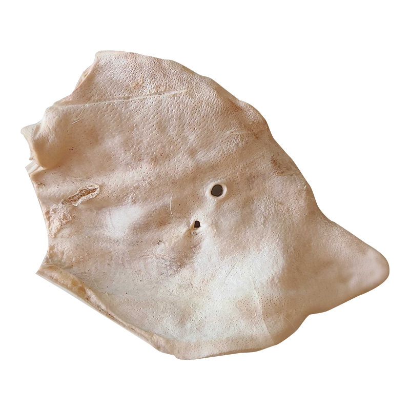 Bones & Co Freeze-Dried Raw Individual Treats