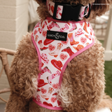 Lucy & Co. Howdy, Honey Reversible Harness