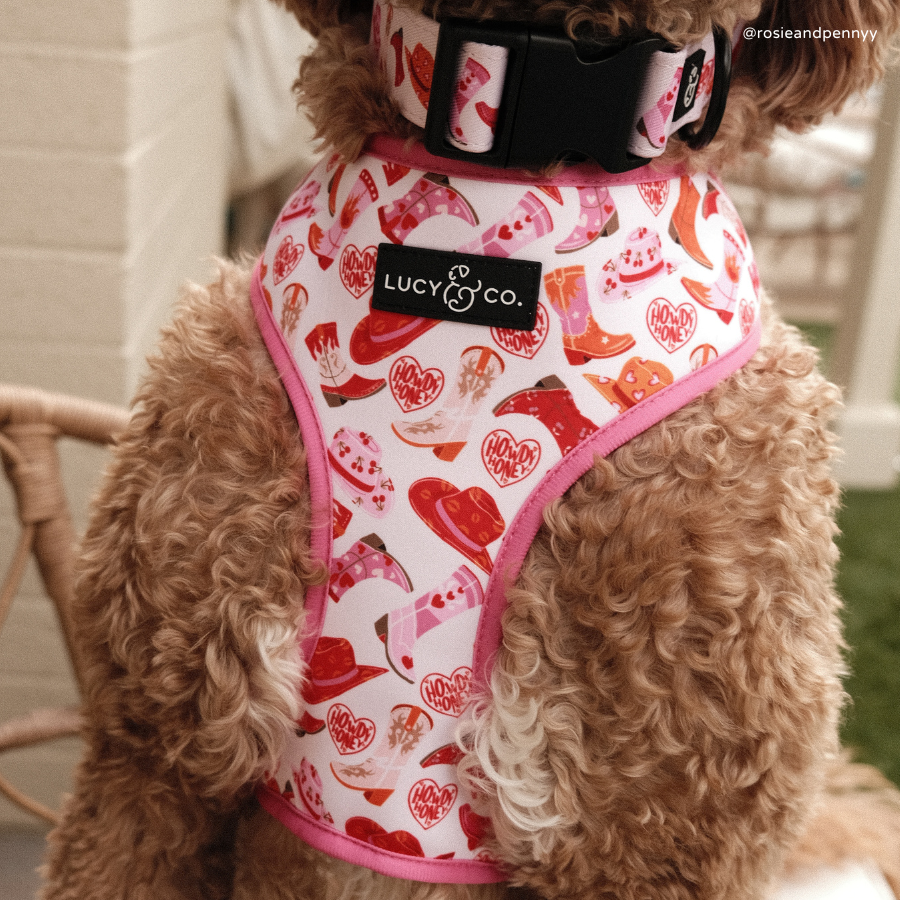 Lucy & Co. Howdy, Honey Reversible Harness