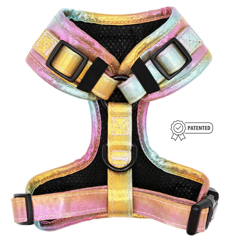 SASSY WOOF The Night Life (Reflective) Dog Adjustable Harness
