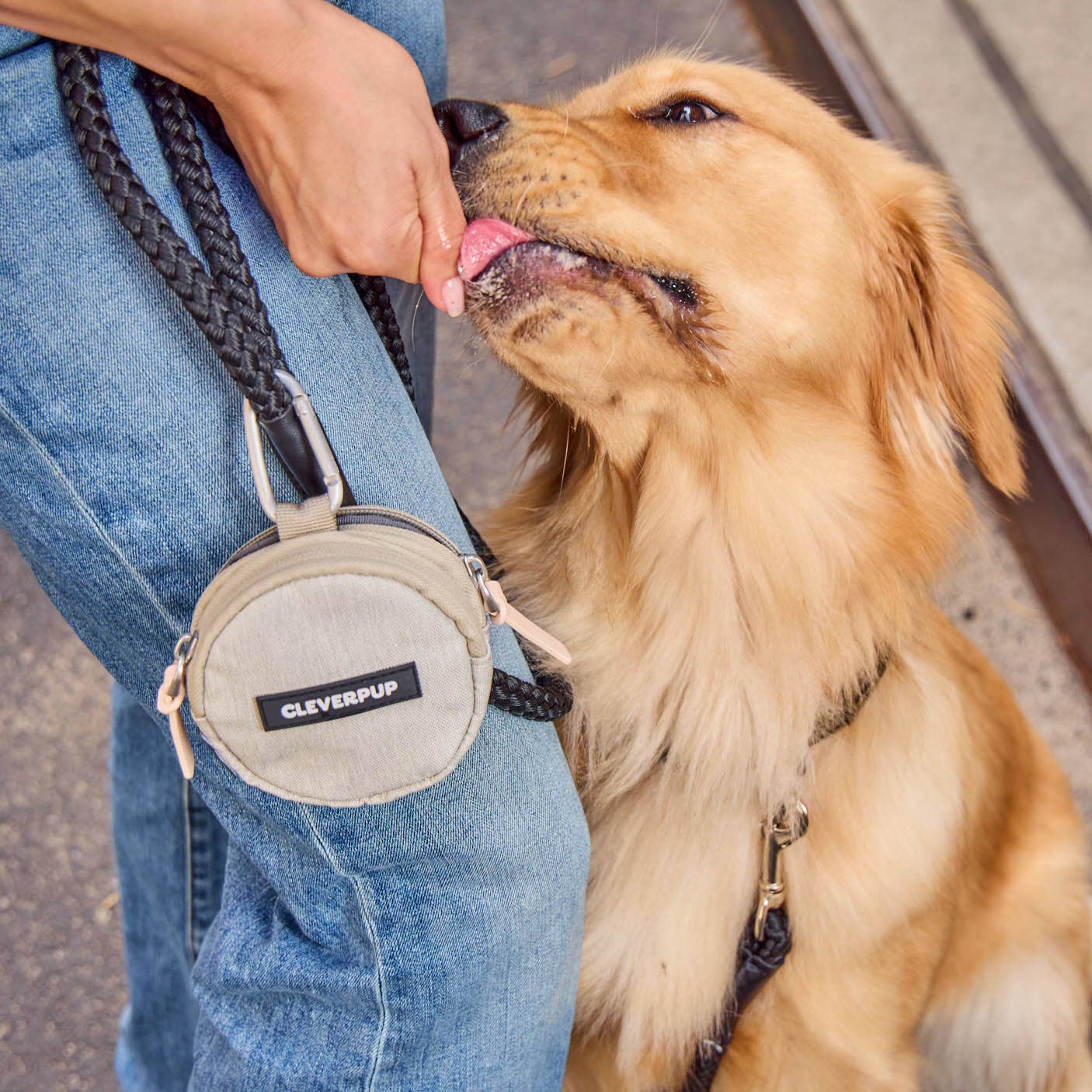 Cleverpup Snackpack Double Insulated Dog Treat Pouch