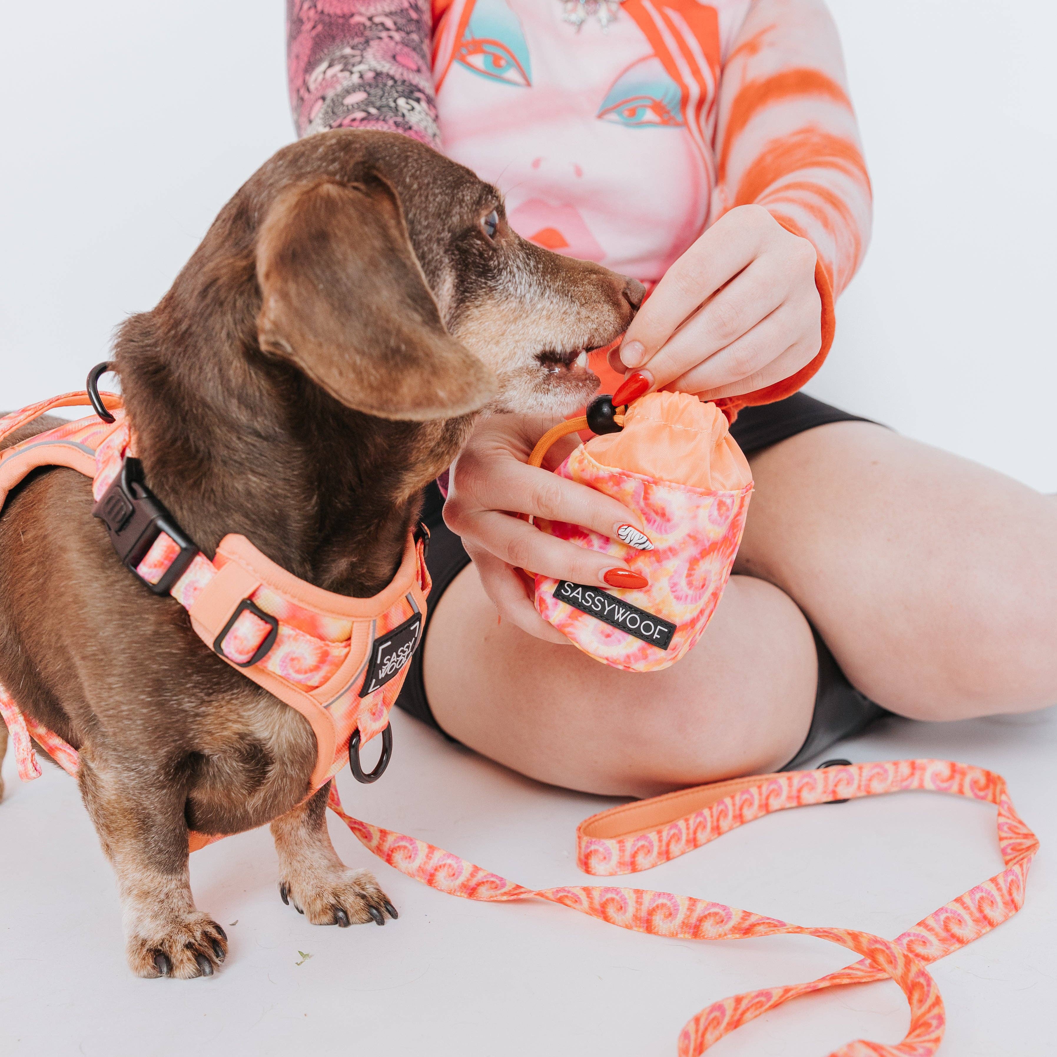 SASSY WOOF Summer Sorbet Treat Pouch