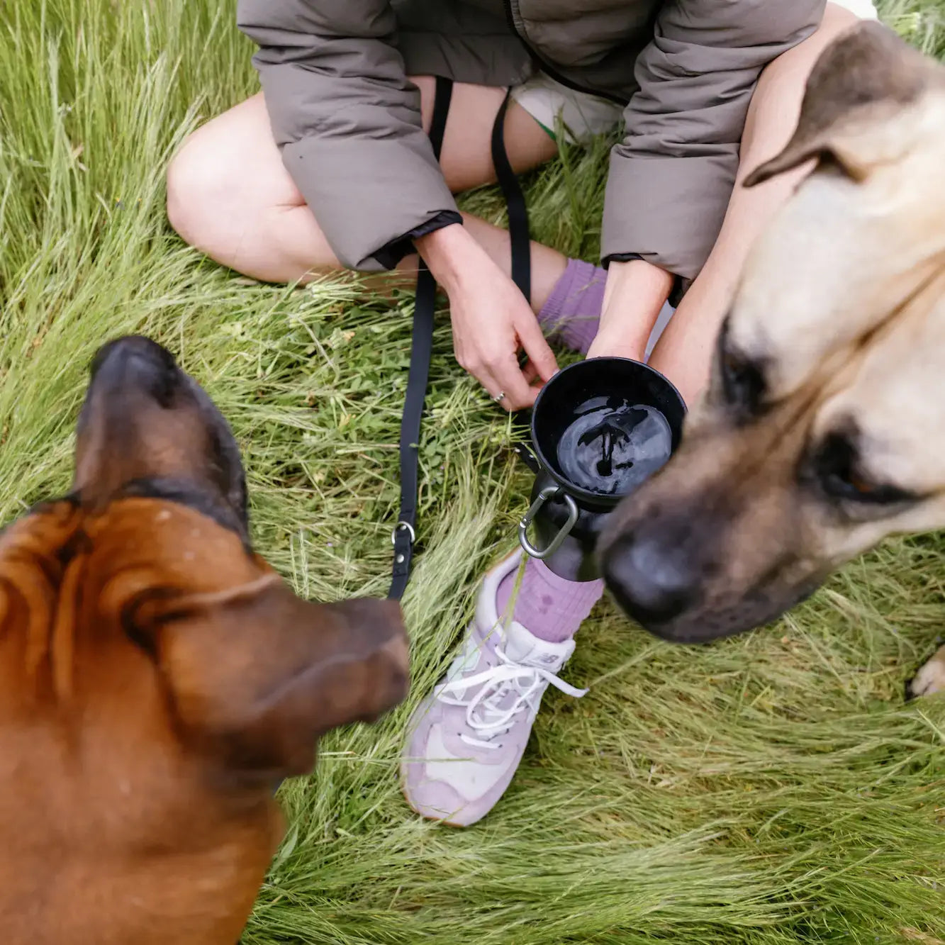 Springer Pets Dog Travel Water Bottle Flip Silicone 20oz