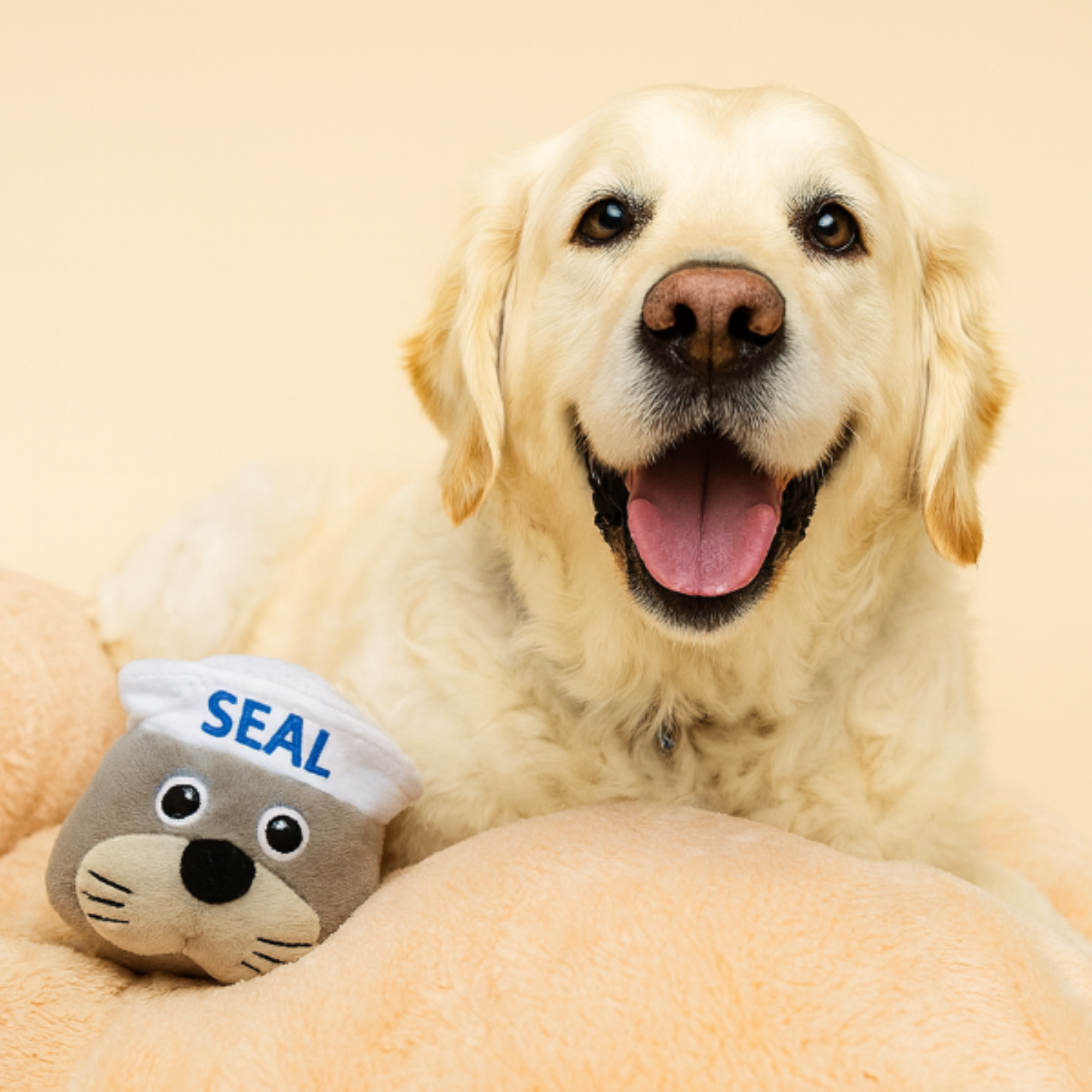 STEELDOG USA LLC Ruffian Hero Seal Dog Toy