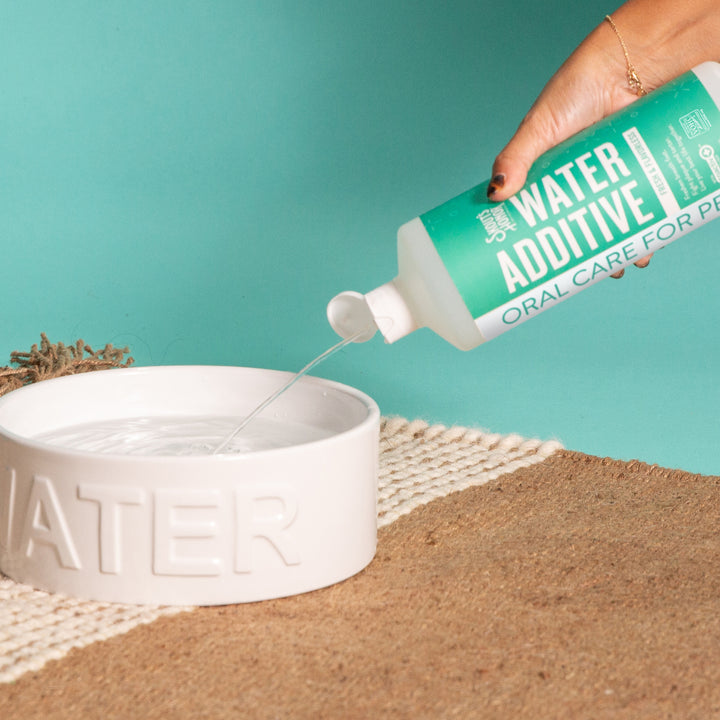 Skout's Honor Oral Care Water Additive