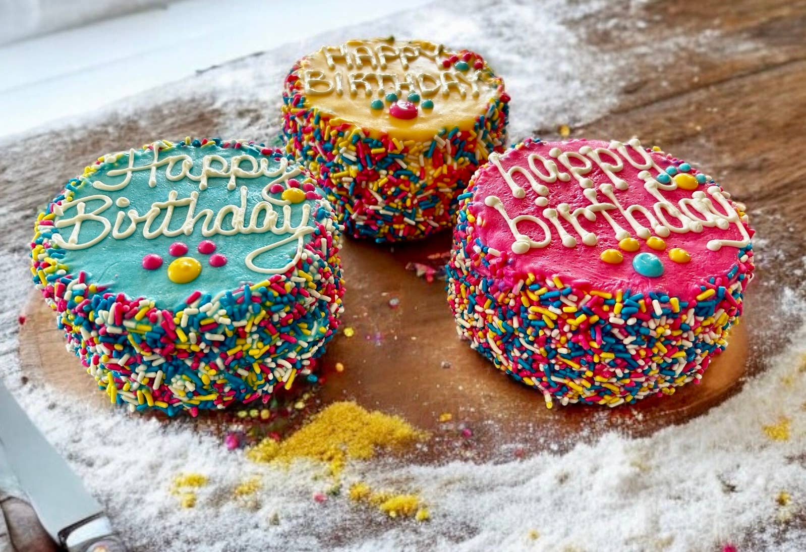YumYum4DOGS Colorful FIESTA Sprinkle Doggie Cake Bakery Dog Treat