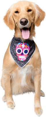 Pet Krewe Glow Halloween Bandana