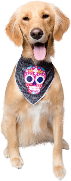 Pet Krewe Glow Halloween Bandana