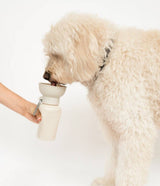 Springer Pets Dog Travel Water Bottle Flip Silicone 20oz