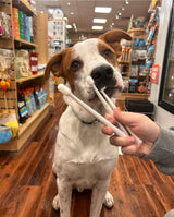 Wag & Bright Supply Co. Puppy Polisher Eco Toothbrush