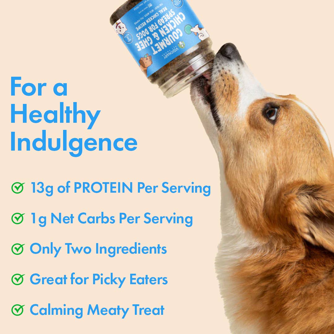 Visionary Pet Foods Meat Spread Chicken and Ghee 12oz Jar