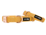 SASSY WOOF Sunflower Fields Dog Collar