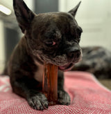 Wag & Bright Supply Co. Mighty Marrows Collagen Beef Liver Dental Chew