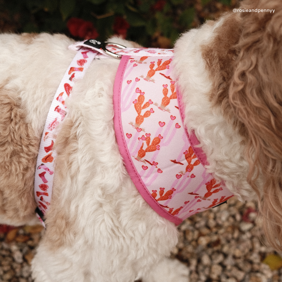 Lucy & Co. Howdy, Honey Reversible Harness