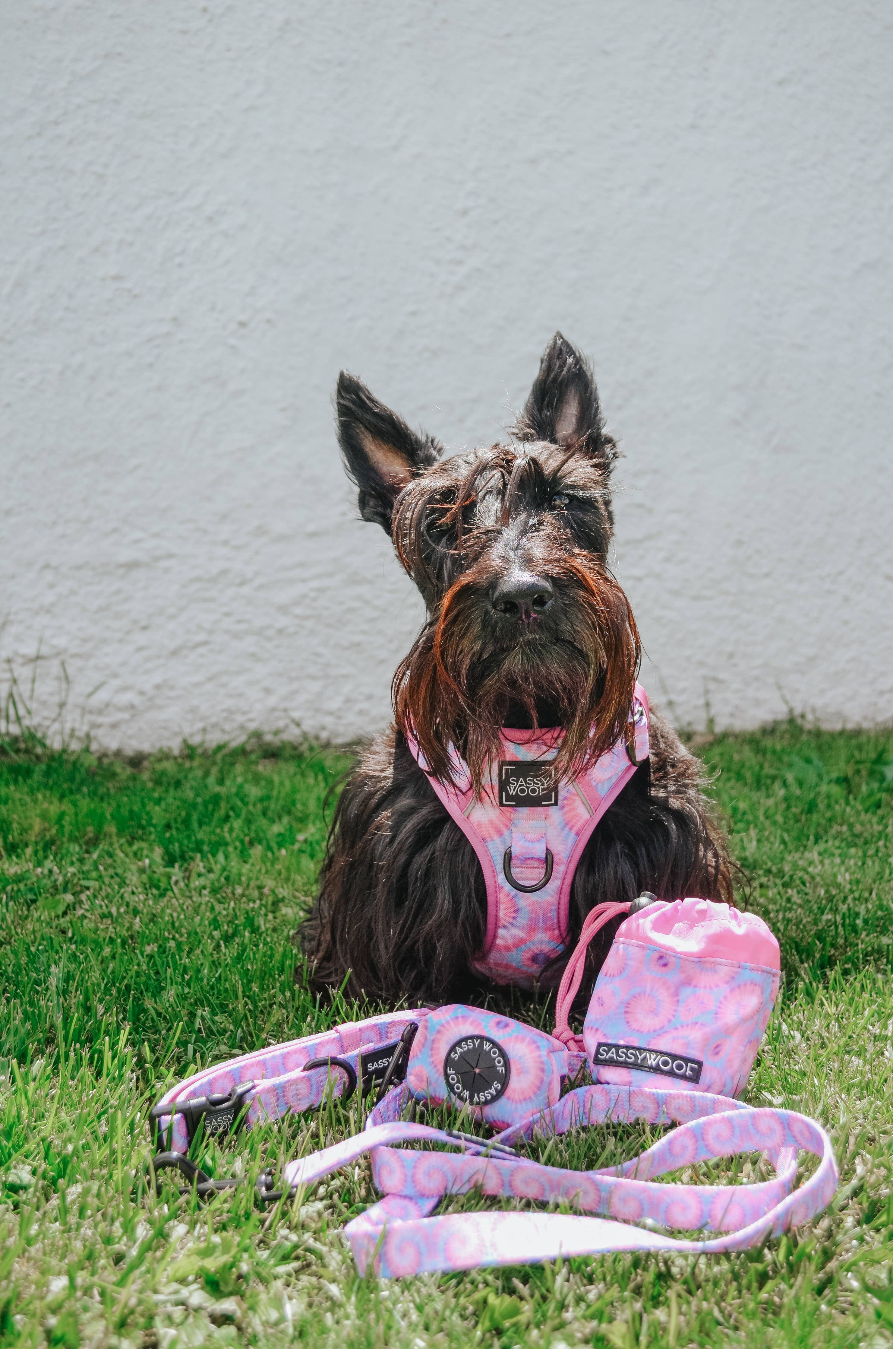 SASSY WOOF Purple Haze Dog Waste Bag Holder