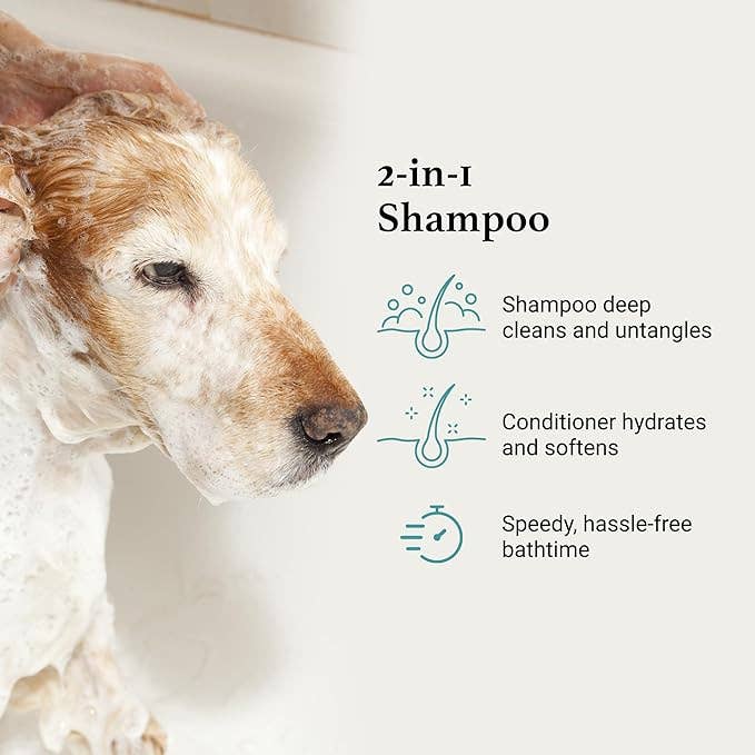 iGroom - All-In-One Shampoo + Conditioner 16oz