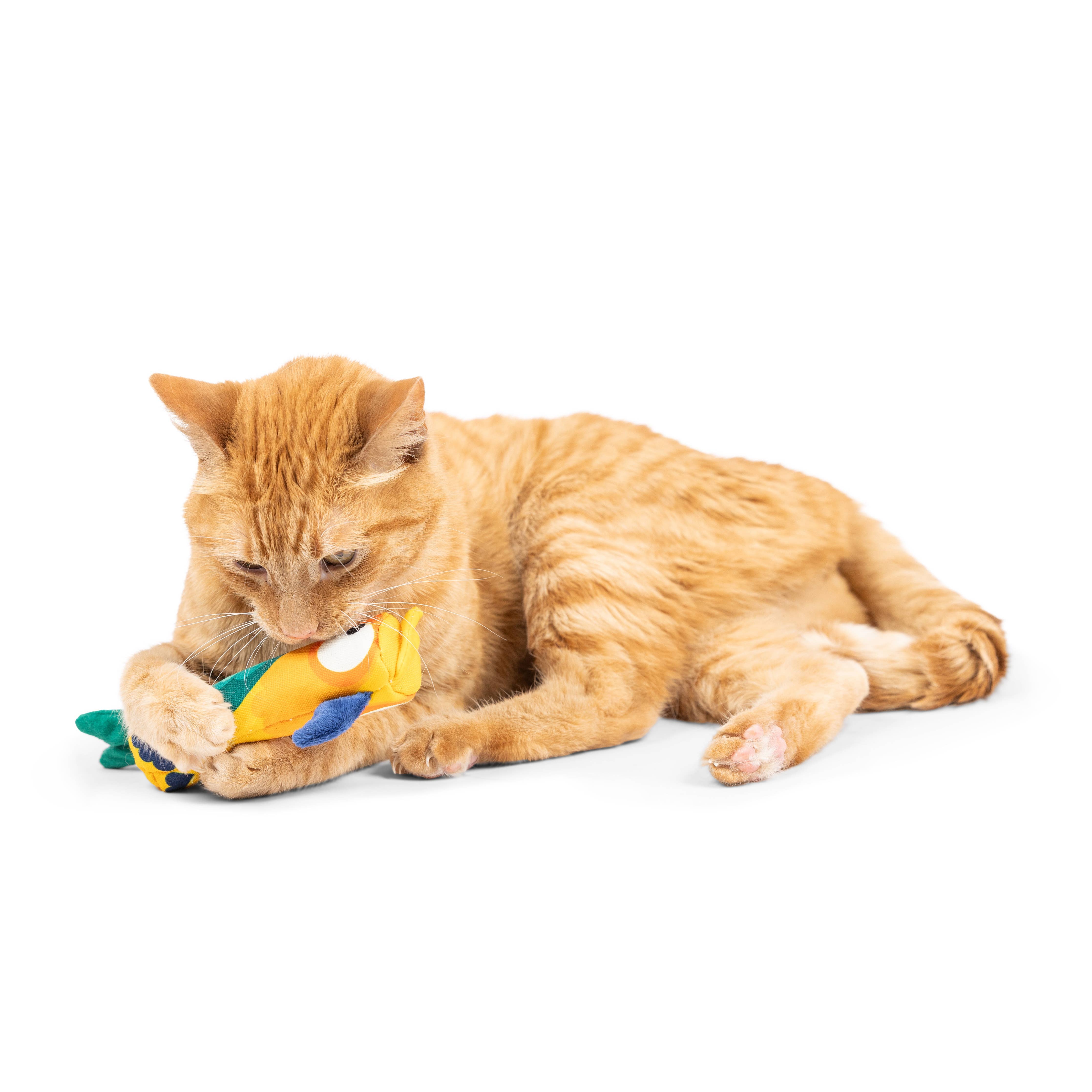Huxley & Kent Nipper Cat Toy